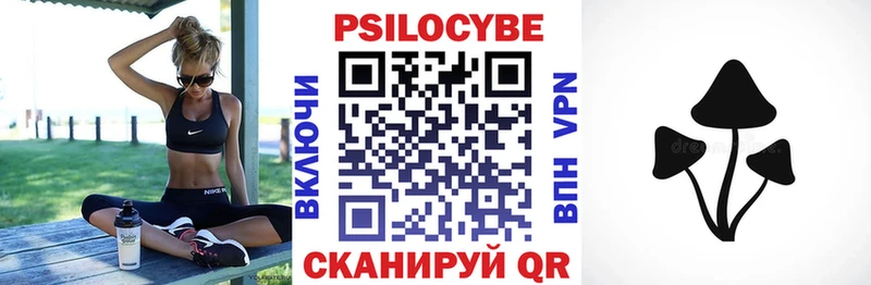 гидра сайт  где купить наркоту  Мураши  Псилоцибиновые грибы Cubensis 