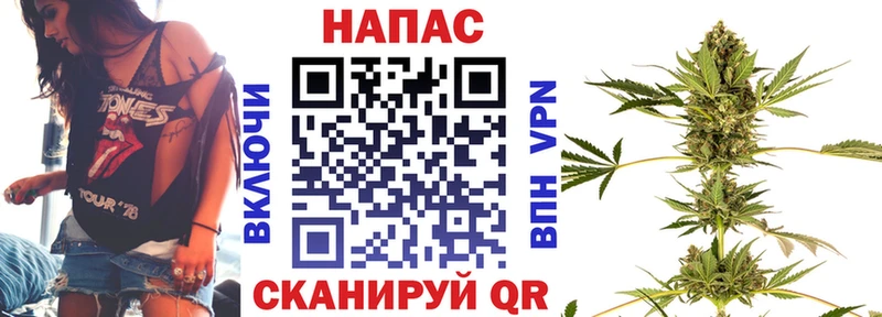 Бошки Шишки планчик  Мураши 